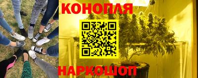 каннабис Кингисепп