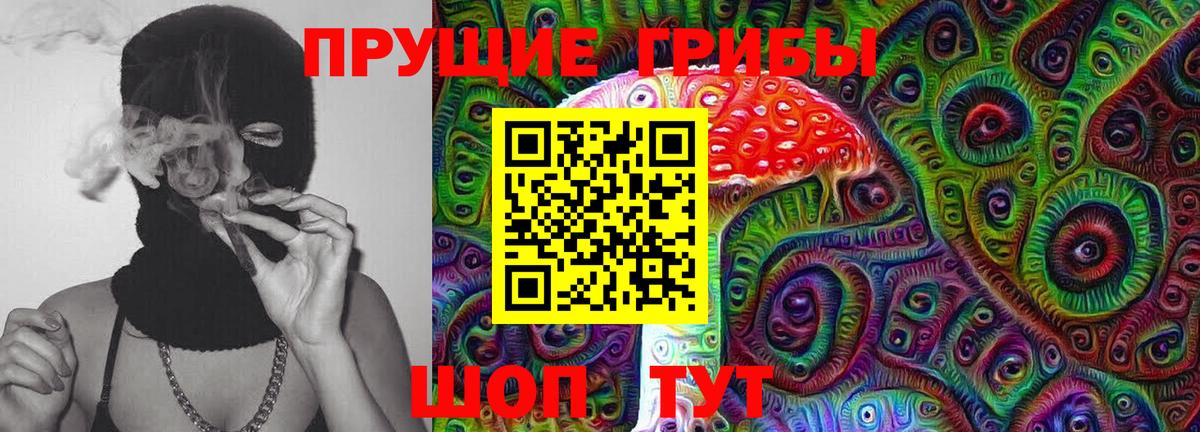 Псилоцибиновые грибы мицелий Котовск